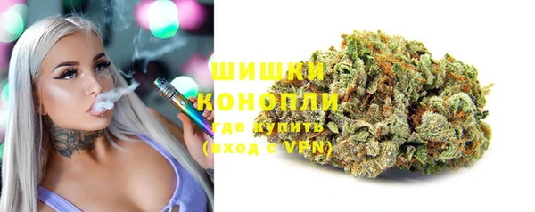 крисы Аркадак