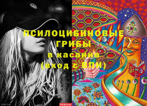 крисы Аркадак