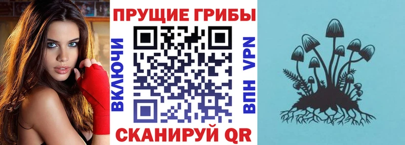 Псилоцибиновые грибы GOLDEN TEACHER  omg ССЫЛКА  Осташков 